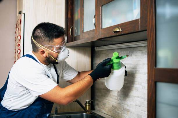 Best Local Pest Control Services  in Martha Lake, WA