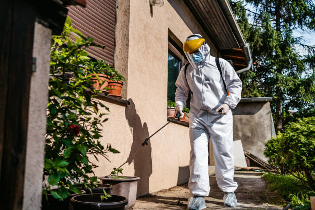 Best Best Pest Control Companies  in Martha Lake, WA