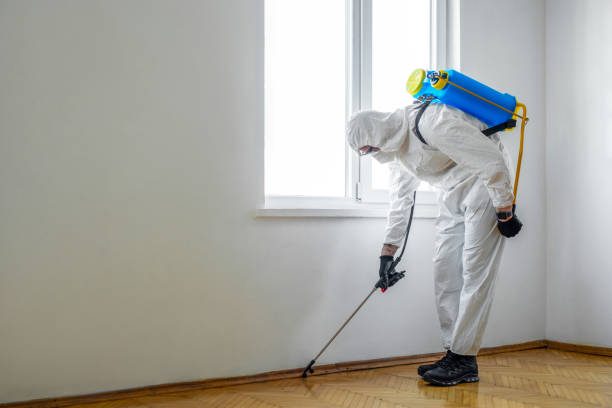 Best Pest Inspection Near Me  in Martha Lake, WA